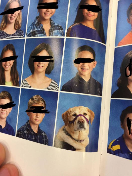 Acid Picdump (93 pics)