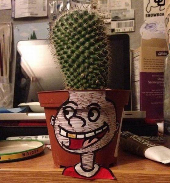 Acid Picdump (93 pics)