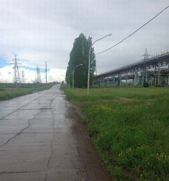 Acid Picdump (93 pics)
