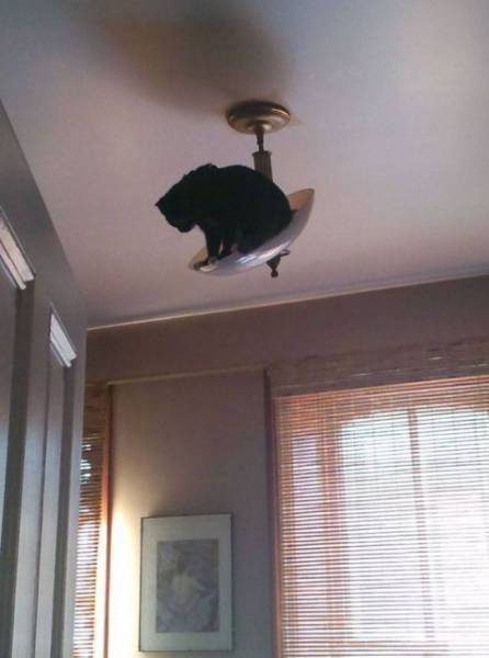 Acid Picdump (93 pics)