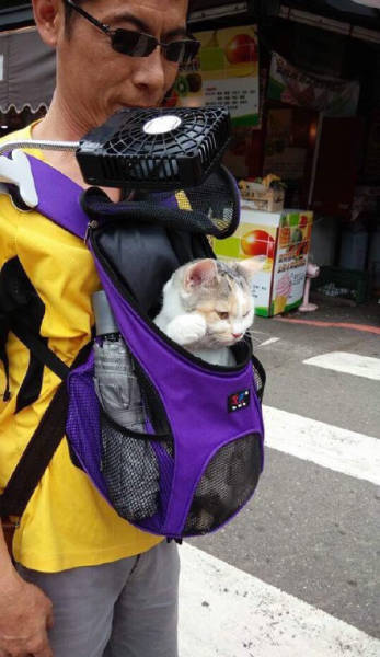 Acid Picdump (93 pics)