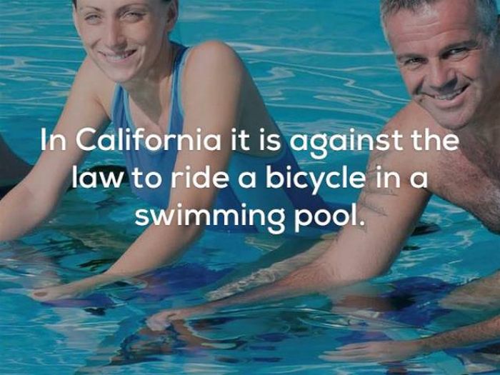Hilarious Laws That Seriously Exist In The United States Of America (21 pics)