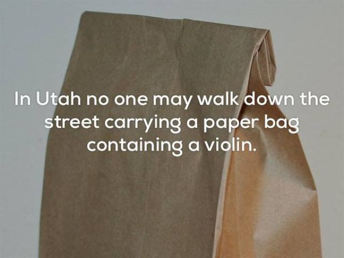 Hilarious Laws That Seriously Exist In The United States Of America (21 pics)