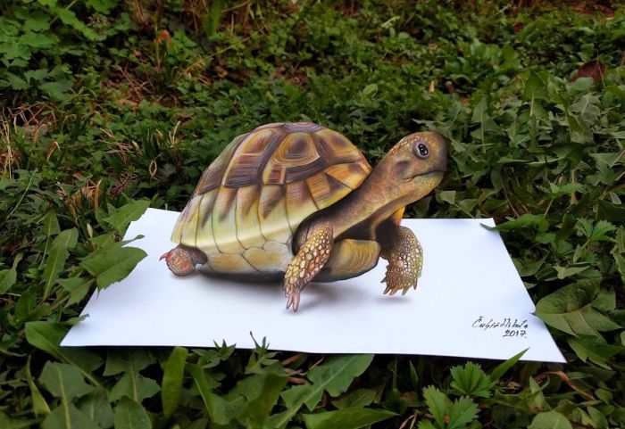 3D Drawings Created To Confuse People (25 pics)