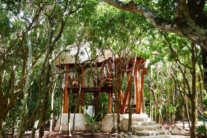 Amazing Treehouse In Mexico Overlooks Gorgeous Green Jungle (11 pics)