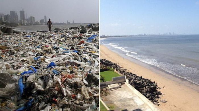 People Removed Five Thousand Tons Of Waste From A Beach In India (5 pics)