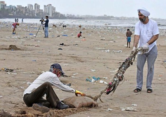 People Removed Five Thousand Tons Of Waste From A Beach In India (5 pics)