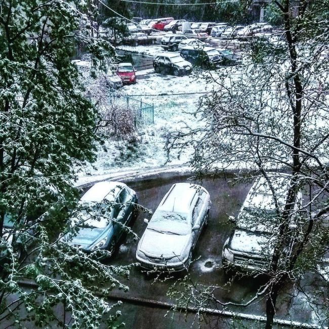 Murmansk Hit With Snow In June (13 pics)