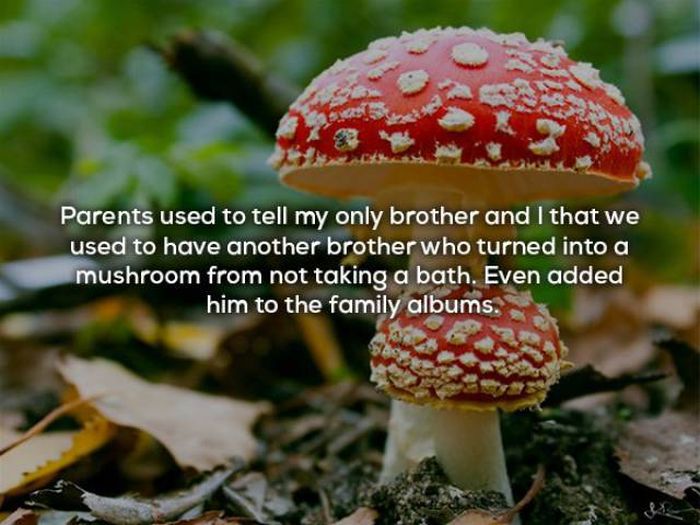 The Truth Is Parents Lie To Their Children All The Time (18 pics)