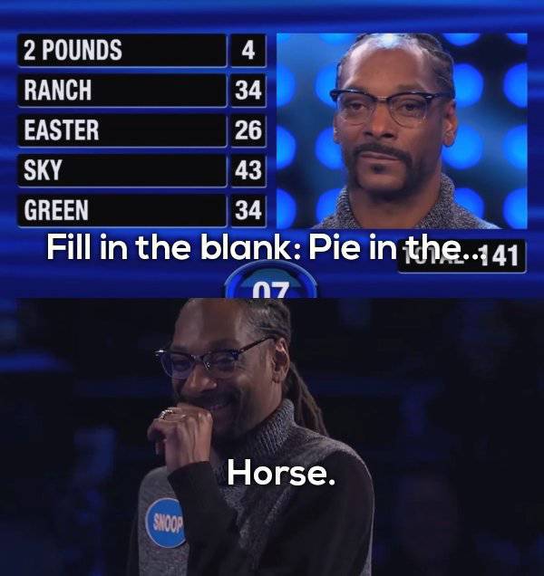 Family Feud Is Full Of Sweet Fails (17 pics)