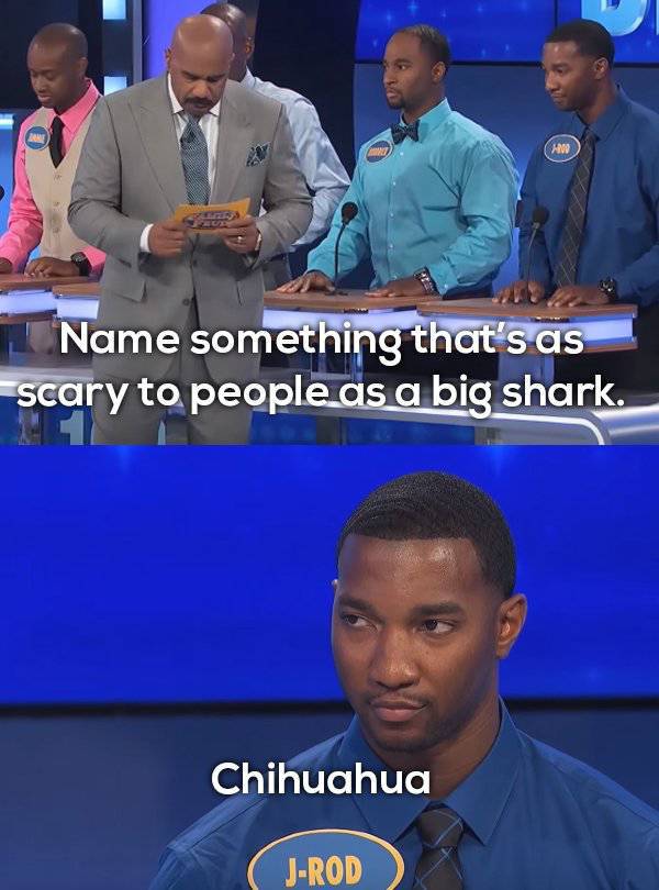 Family Feud Is Full Of Sweet Fails (17 pics)