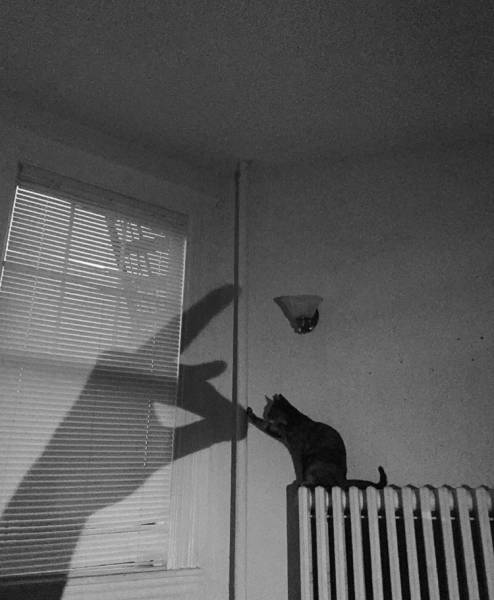 Acid Picdump (103 pics)