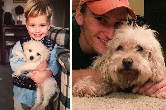 Adorable Pics Of Dogs Growing Up (21 pics)