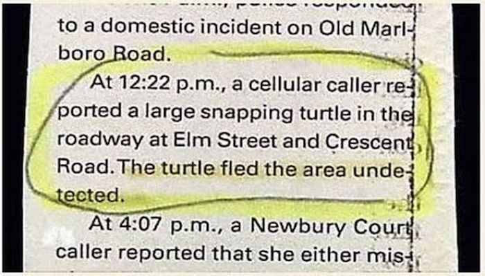 Hilarious Police Blotter Excerpts That Will Crack You Up (16 pics)