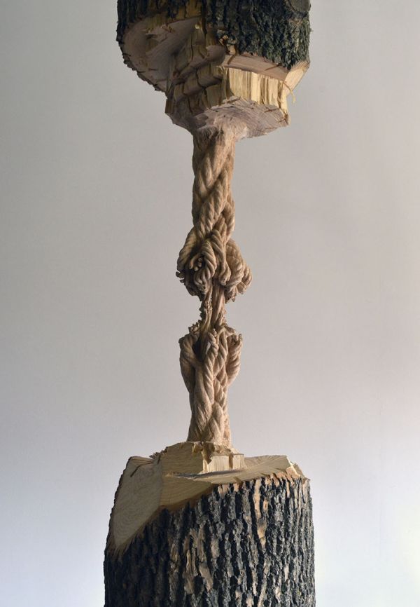 Artist Carves Giant Tree Trunk Down To Frayed Rope (5 pics)