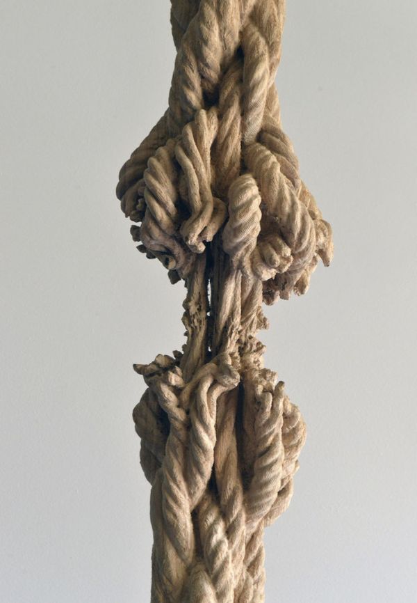 Artist Carves Giant Tree Trunk Down To Frayed Rope (5 pics)