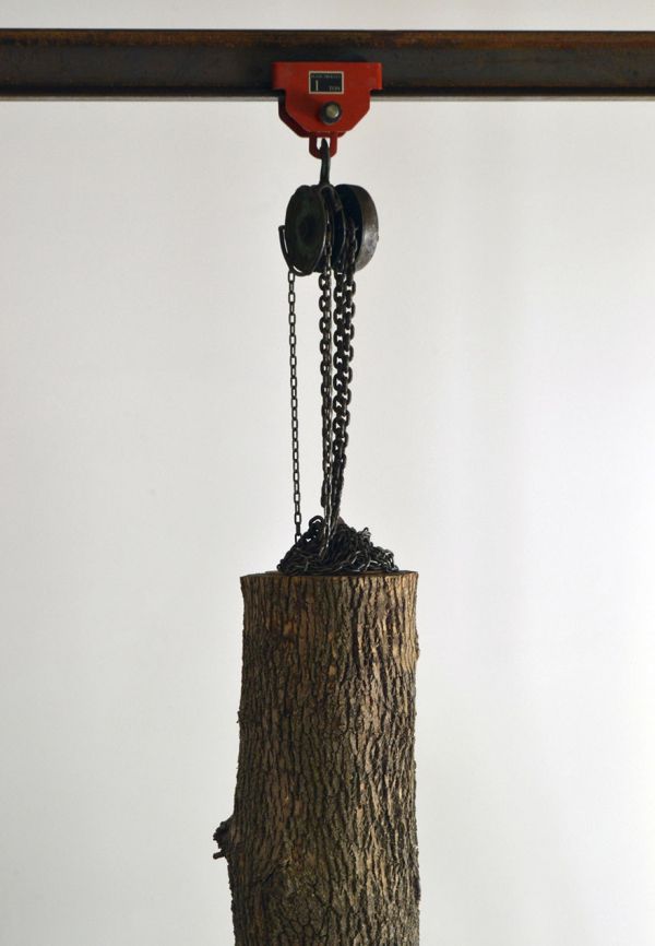 Artist Carves Giant Tree Trunk Down To Frayed Rope (5 pics)