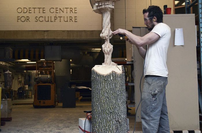Artist Carves Giant Tree Trunk Down To Frayed Rope (5 pics)