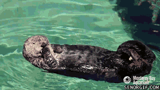 Acid Gifdump, June 27, 2017 (25 gifs)