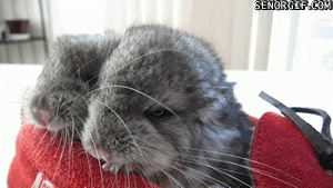 Acid Gifdump, June 27, 2017 (25 gifs)