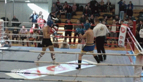 Acid Gifdump, June 27, 2017 (25 gifs)