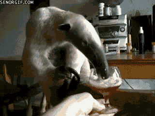 Acid Gifdump, June 27, 2017 (25 gifs)