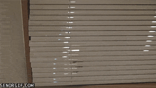 Acid Gifdump, June 27, 2017 (25 gifs)