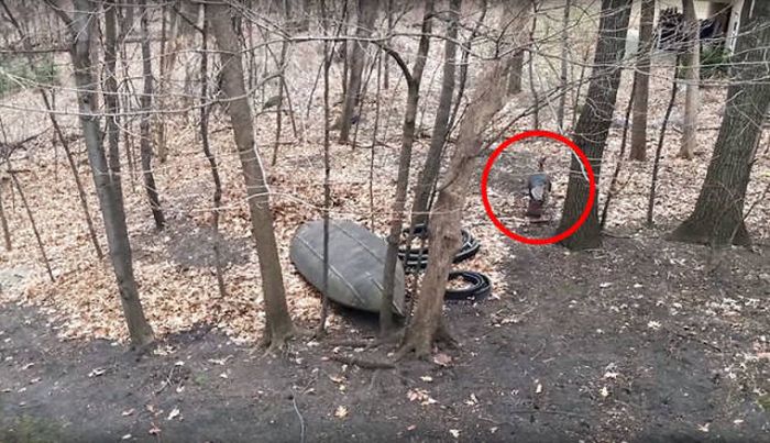 Family Returns Home To Find Unexpected Guest In Their House (7 pics)
