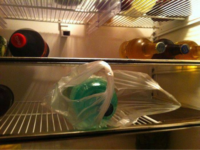 Lazy People Who Have Perfected The Art Of Laziness (50 pics)
