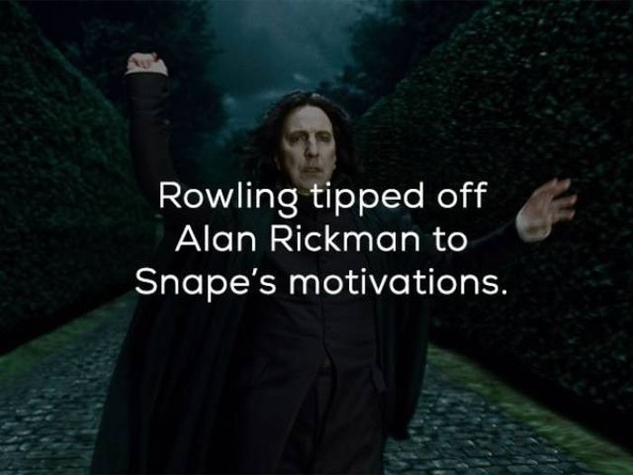 Magical Facts About Harry Potter To Celebrate His 20th Birthday (20 pics)