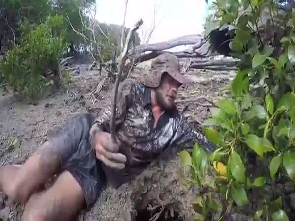 Catching A Mud Crab