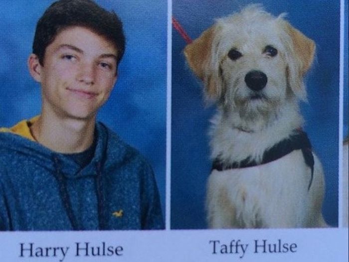Dogs Who Made It Into The School Year Book (17 pics)