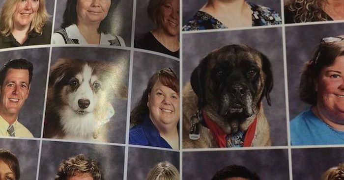 Dogs Who Made It Into The School Year Book (17 pics)