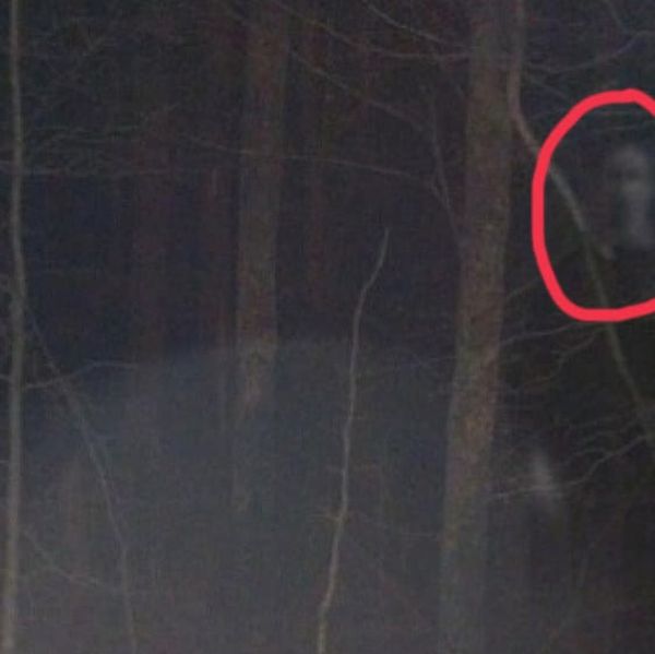 Creepy Unexplained Photos That Will Send Chills Down Your Spine (15 pics)