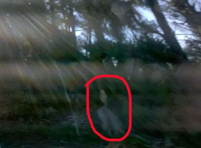 Creepy Unexplained Photos That Will Send Chills Down Your Spine (15 pics)