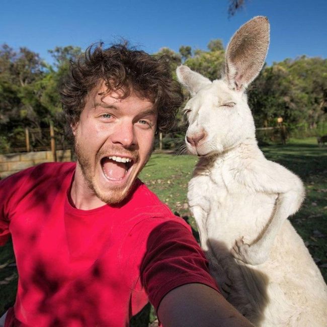 Guy Takes Awesome Selfies With Cool Animals (10 pics)
