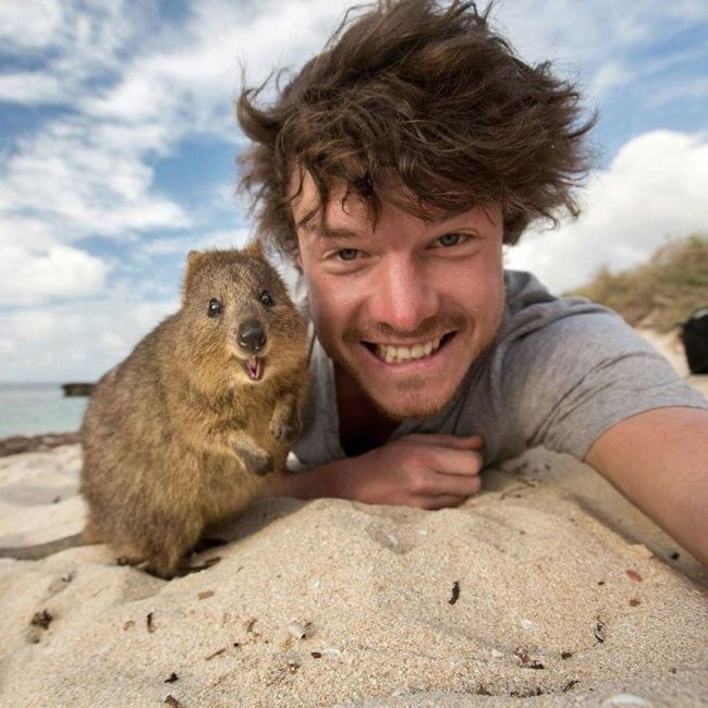 Guy Takes Awesome Selfies With Cool Animals (10 pics)