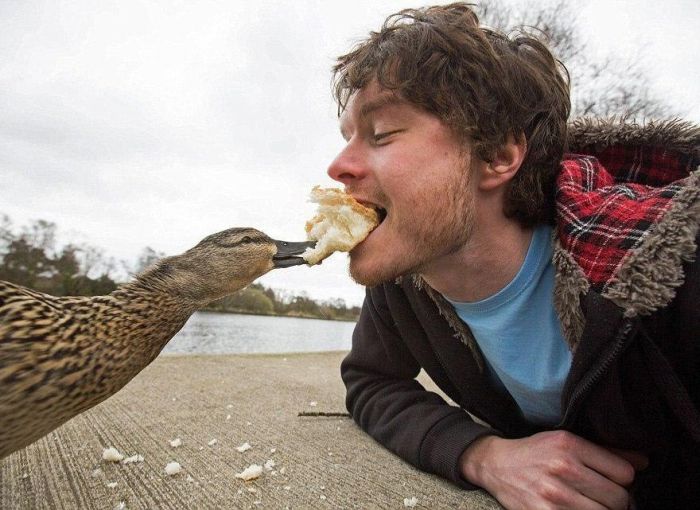 Guy Takes Awesome Selfies With Cool Animals (10 pics)