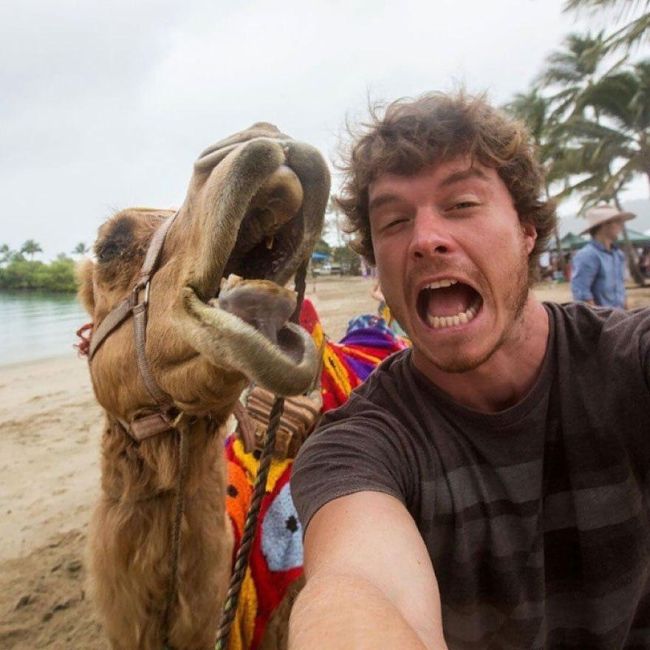 Guy Takes Awesome Selfies With Cool Animals (10 pics)