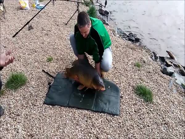 Carp Escapes From Fisherman