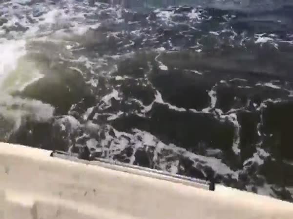 Massive Humpback Jumps Out Of Water And Almost Crushes Boat