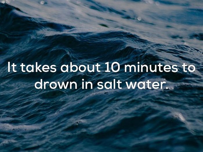 Disturbing Facts That Will Chill You Right To The Bone (20 pics)