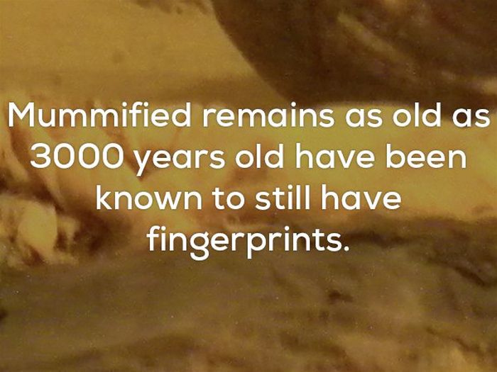 Disturbing Facts That Will Chill You Right To The Bone (20 pics)