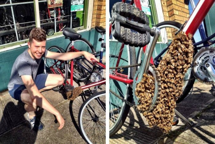 Creepy Photos That Will Make You Feel Uncomfortable (15 pics)