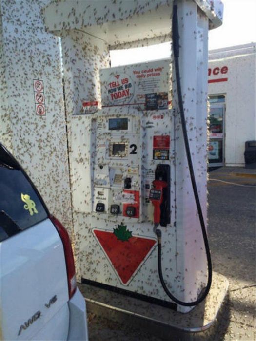 Creepy Photos That Will Make You Feel Uncomfortable (15 pics)