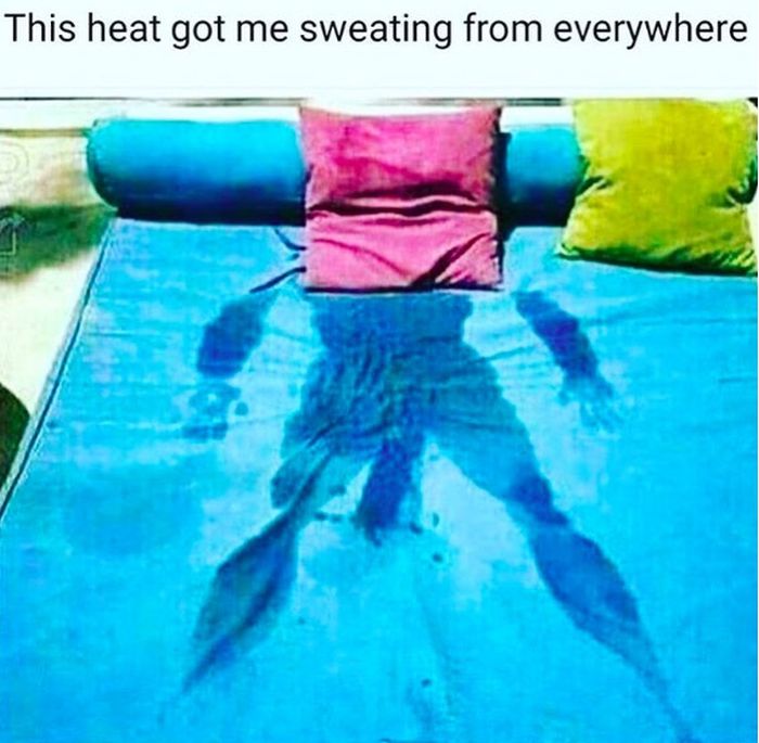 Jokes About Heat That Will Make You Laugh And Cry (22 pics)