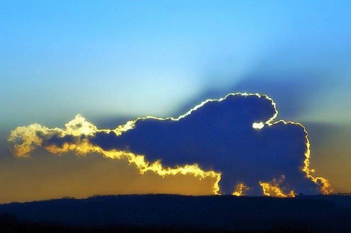 You're Going To Have To Look Twice When You See These Pics (38 pics)