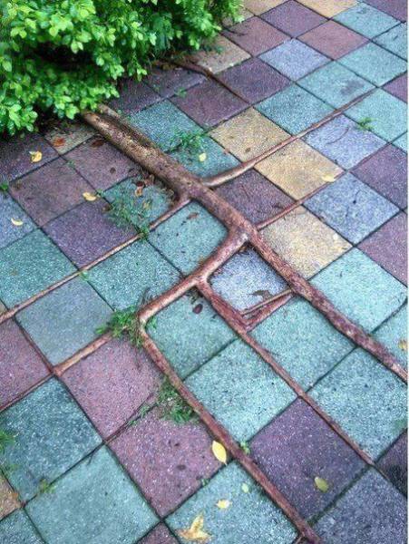 Fine Examples Of Pictures That Say Over A Thousand Words (50 pics)