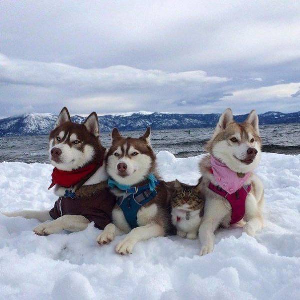 Fine Examples Of Pictures That Say Over A Thousand Words (50 pics)