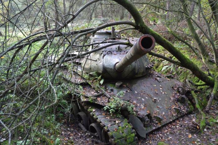 The Earth Is Claiming These Abandoned Tanks In Germany (9 pics)